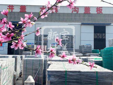 花滿枝頭，春意盎然